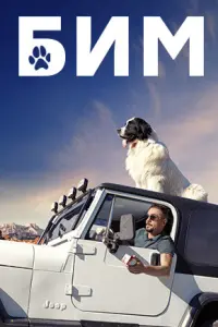 Смотреть БИМ 
