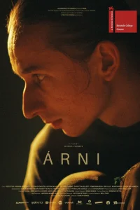  Арни  смотреть онлайн в хорошем качестве
